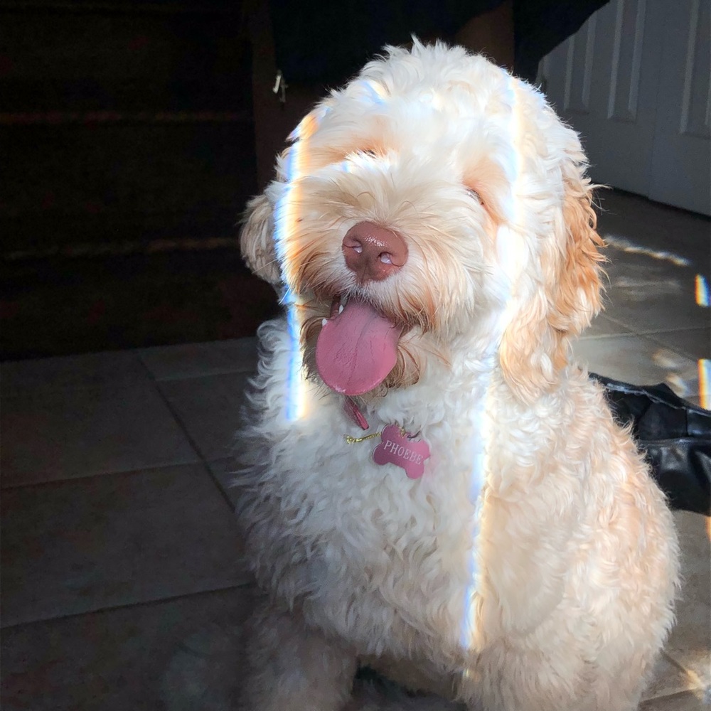 Meet your Posher, Olivia
